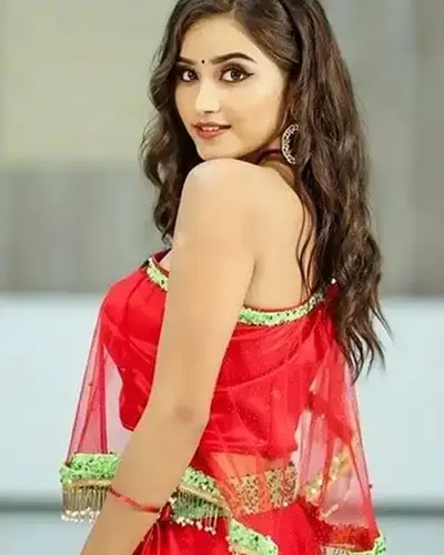 Call Girls Service Viramgam